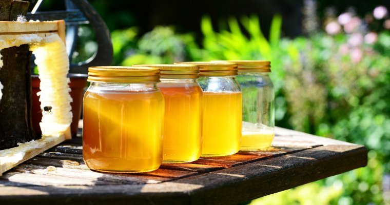 Пасечники прогнозируют рост цен на мёд в Удмуртии из-за массовой гибели пчёл