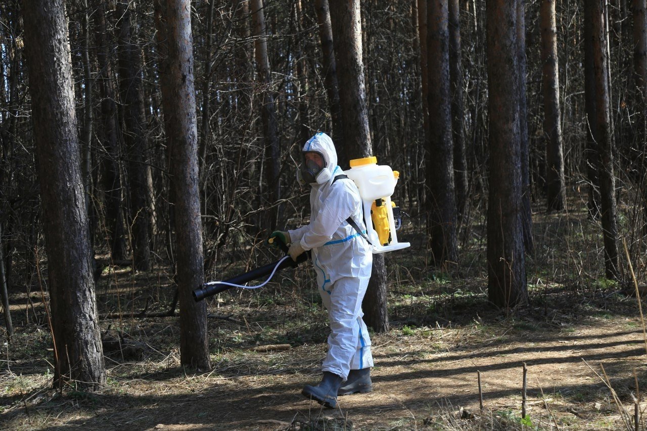 Во второй половине апреля зелёные зоны Ижевска начнут обрабатывать от клещей и грызунов