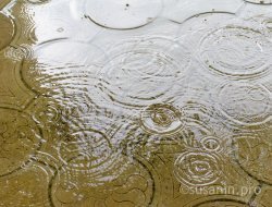 Небольшие дожди ожидаются в Удмуртии во вторник