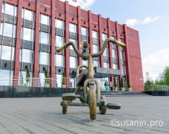 Тринадцать