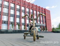Тринадцать