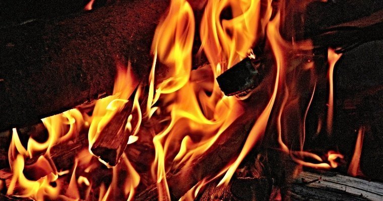 В Удмуртии с 5 мая начнёт действовать особый противопожарный режим