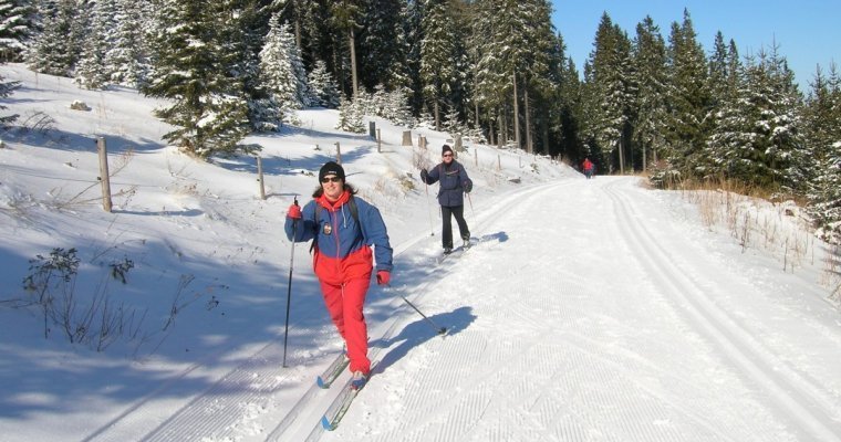 Жителям Сарапула предложили скинуться на освещение лыжной трассы