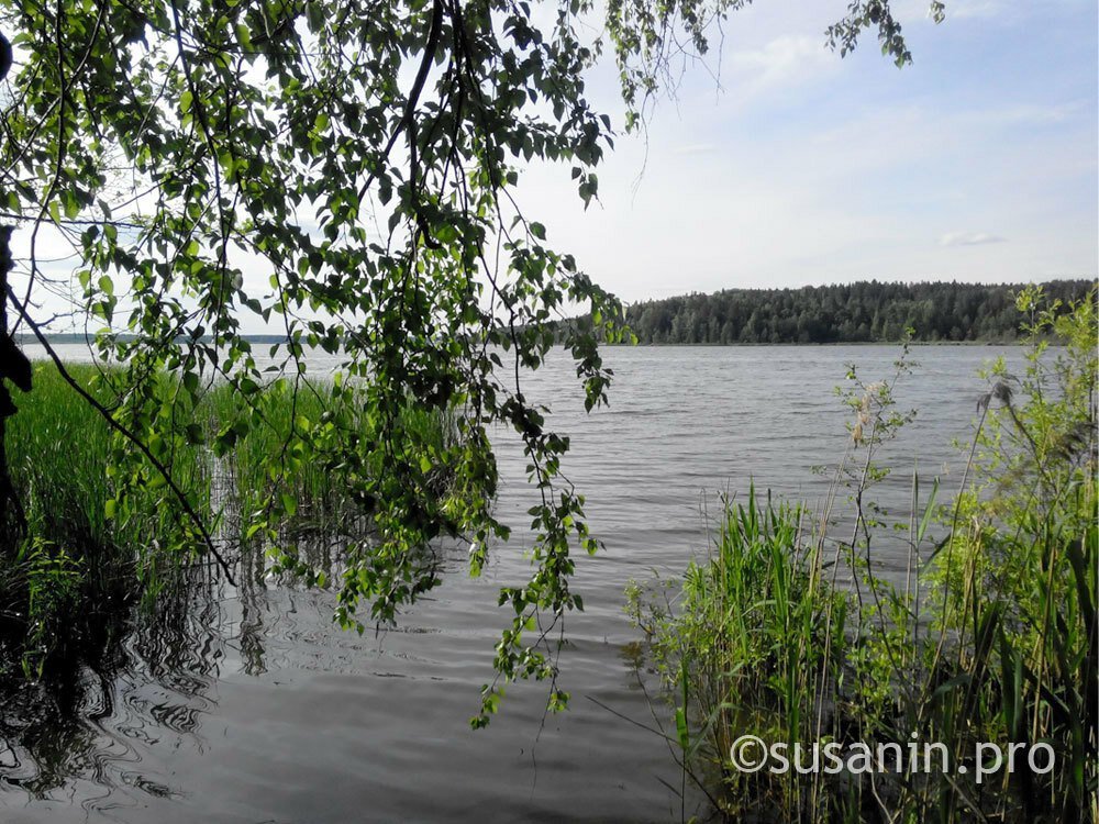 Ни один водоем в Удмуртии не получил заключения о соответствии санитарным правилам
