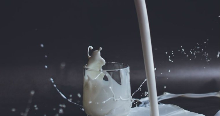 В 2023 году экспорт молочной продукции Удмуртии в Узбекистан и Китай увеличился в 4 раза