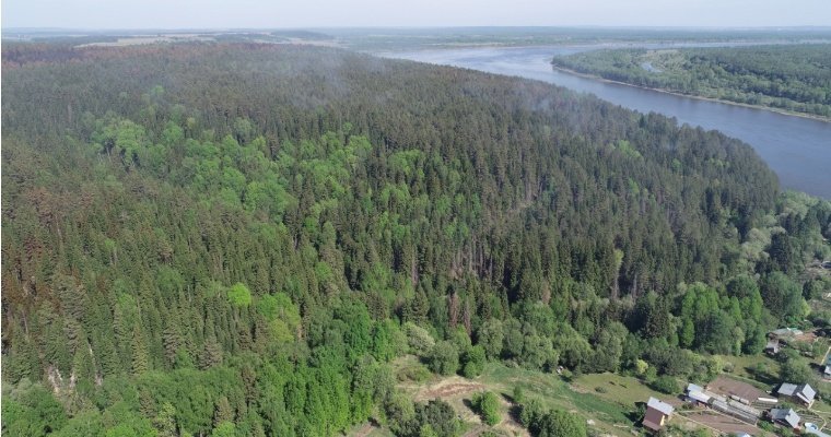 Воздух в зоне лесного пожара в Удмуртии признали безопасным