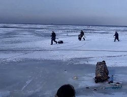 Волна в Финском заливе разрушила лёд под рыбаками