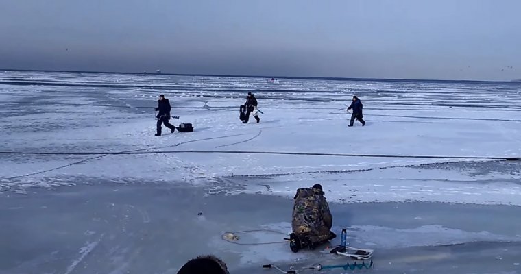 Волна в Финском заливе разрушила лёд под рыбаками