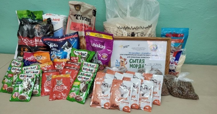Дети Можгинского района собрали корма и наполнители для бездомных животных