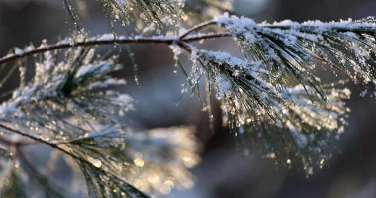Мокрый снег с дождем ожидается в Удмуртии во вторник