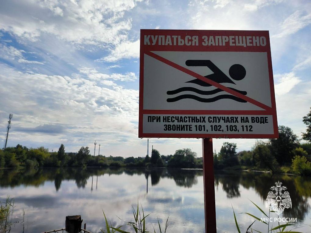 Пожилой мужчина утонул на пруду в Ижевске