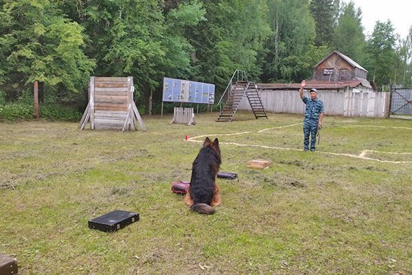 В Удмуртии определили лучших кинологов регионального УФСИН 