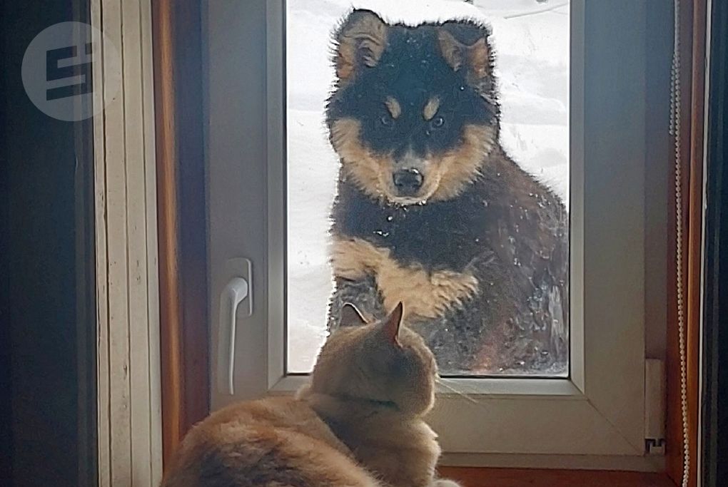 Глава района в Удмуртии объяснил селянам, почему у них дома холодно зимой