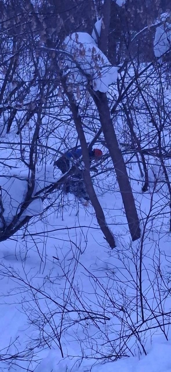 В Глазовском районе спасатели вытащили из оврага пенсионерку