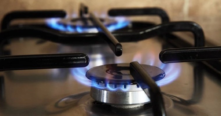 Еврокомиссия назвала предельно допустимую цену на российский газ