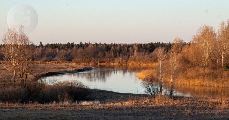 До +15 градусов потеплеет в Удмуртии 17 апреля