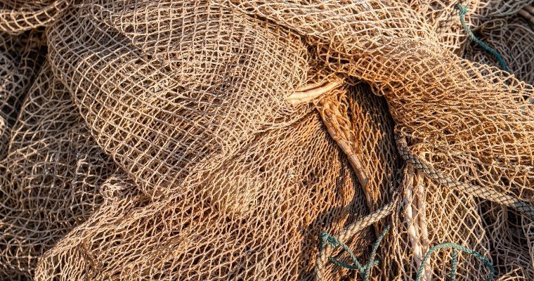 До пяти лет колонии грозит двум браконьерам за незаконный вылов рыбы на реке Кама в Удмуртии
