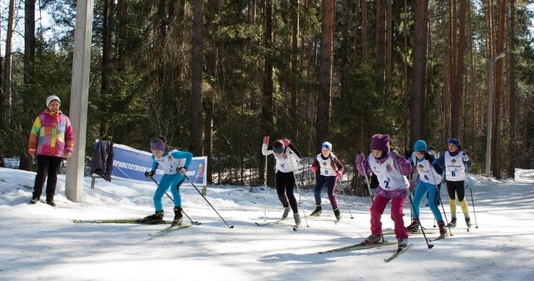 В Воткинске объявили сбор средств на технику для городской лыжной базы