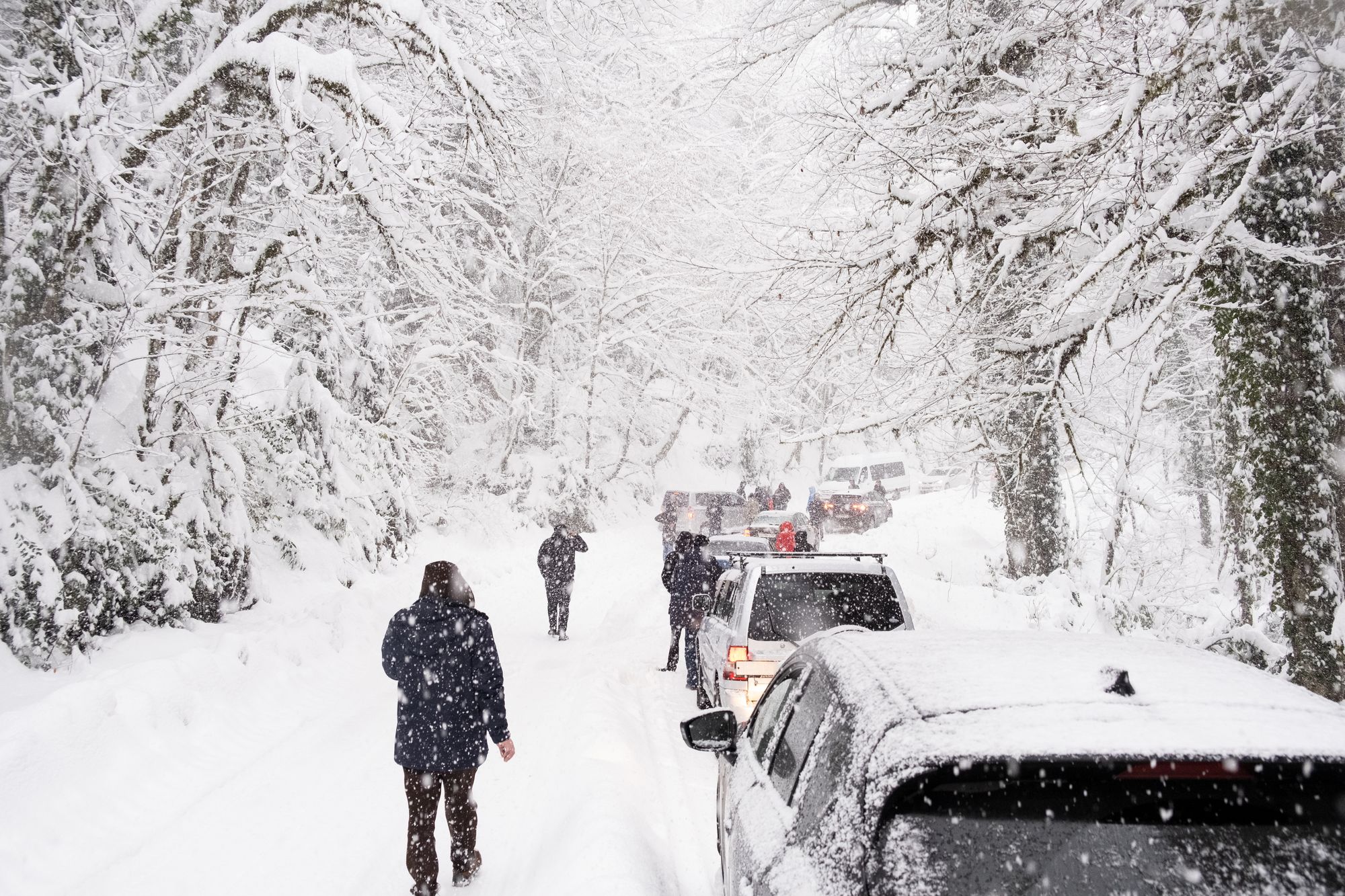 Жителей Удмуртии предупреждают о сильном снегопаде предстоящей ночью