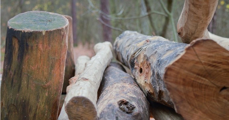Жителя Игринского района убило упавшим деревом