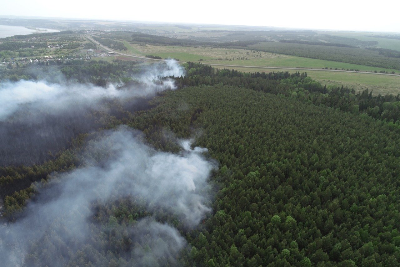 

Названа предварительная причина лесного пожара у деревни Поварёнки в Удмуртии

