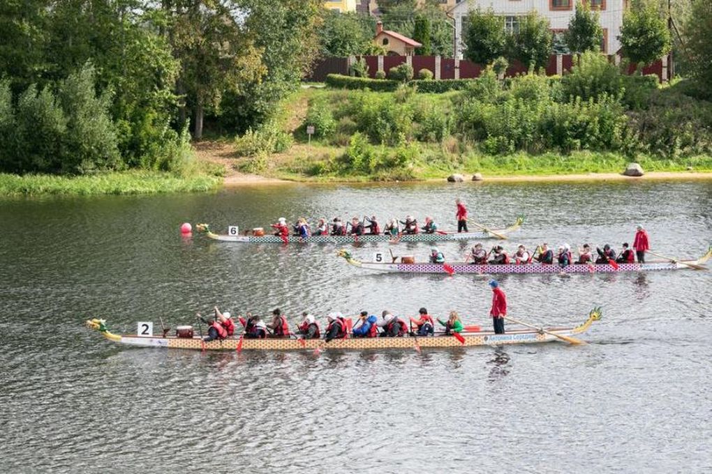 Хайдельберг река люди на лодка соревнования