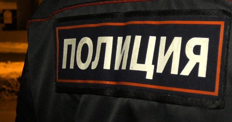 Уроженец Удмуртии напал на полицейского в московском метро