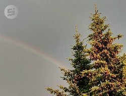 Первые дожди могут пройти в Удмуртии на текущей неделе 