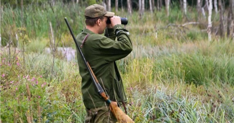 В Удмуртии открыли сезон охоты на пушных животных 