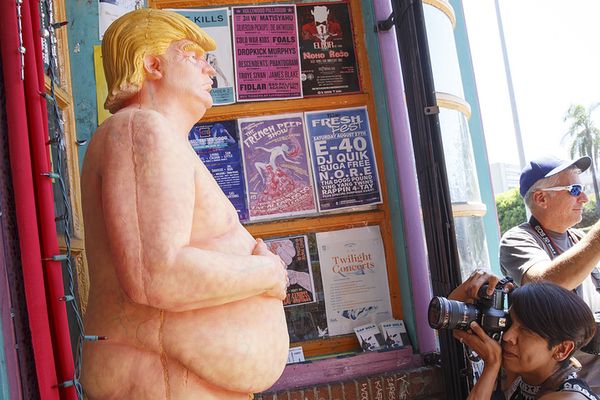 Статуи обнаженного миллиардера Дональда Трампа появились в пяти городах США