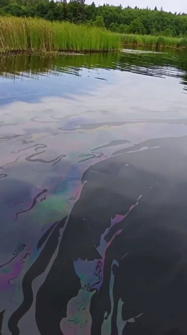 Около 50 квадратных метров Ижевского пруда оказались загрязнены нефтепродуктами