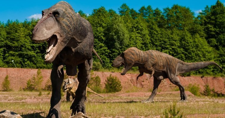 Истинные размеры тираннозавров могли быть на 70% крупнее, чем считалось