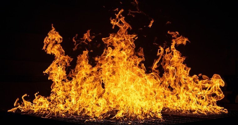 Высокая пожароопасность ожидается в лесах Удмуртии с 6 по 11 июля