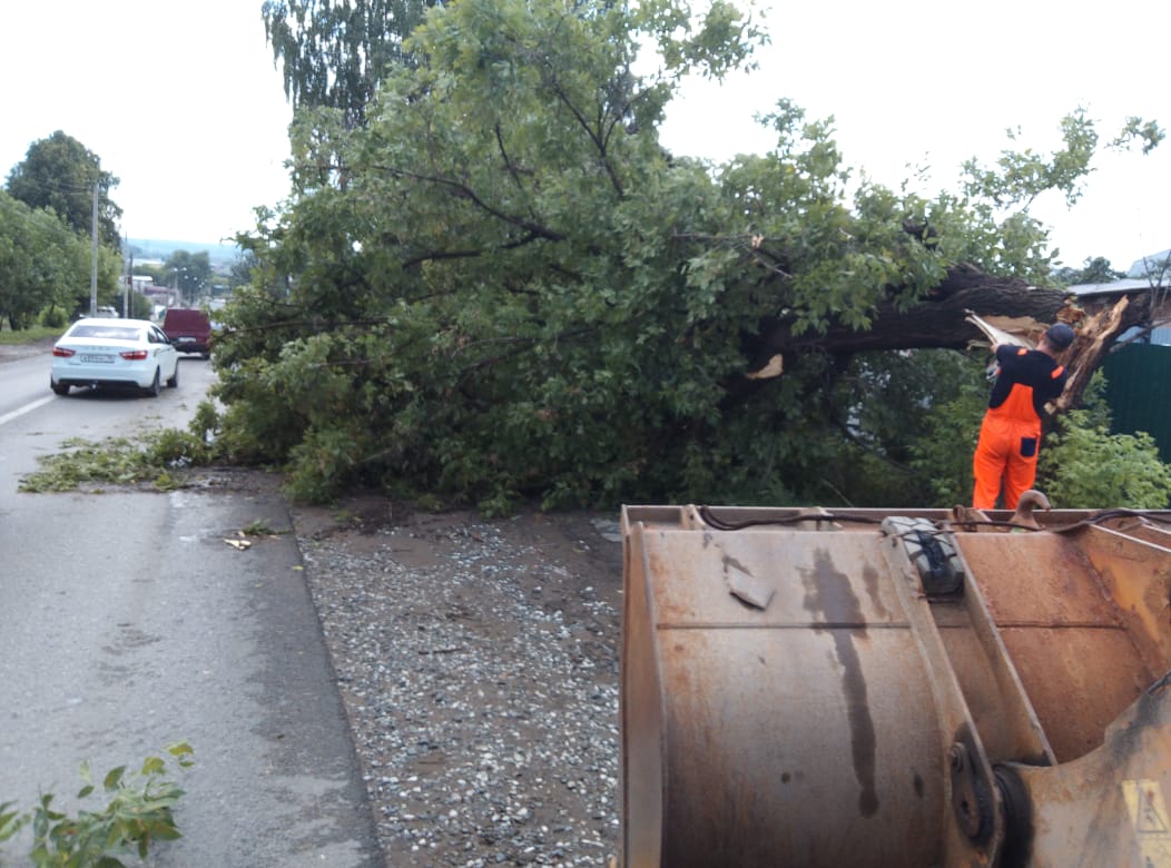 За прошедшую ночь с улиц Ижевска убрали 10 поваленных деревьев