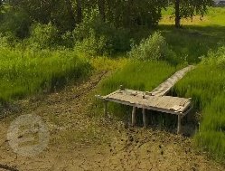 Чистку дна спущенного пруда в деревне Пирогово планируют выполнить в 2028–2029 годах