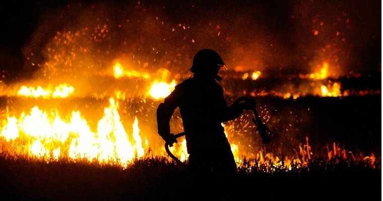 В Приморье бушует природный пожар на площади до 950 га
