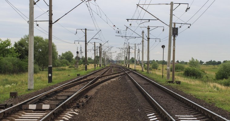Причиной сбоя движения 20 поездов и электричек в Подмосковье стала кража 1,5 км кабеля