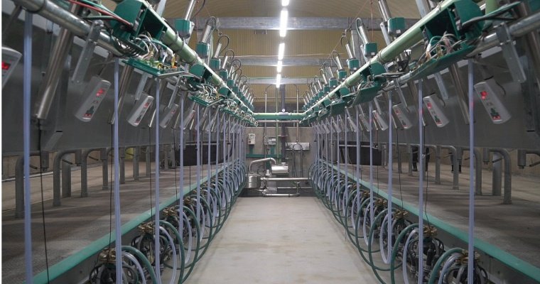 Еще три роботизированных молочных комплекса появится в Удмуртии в 2021 году