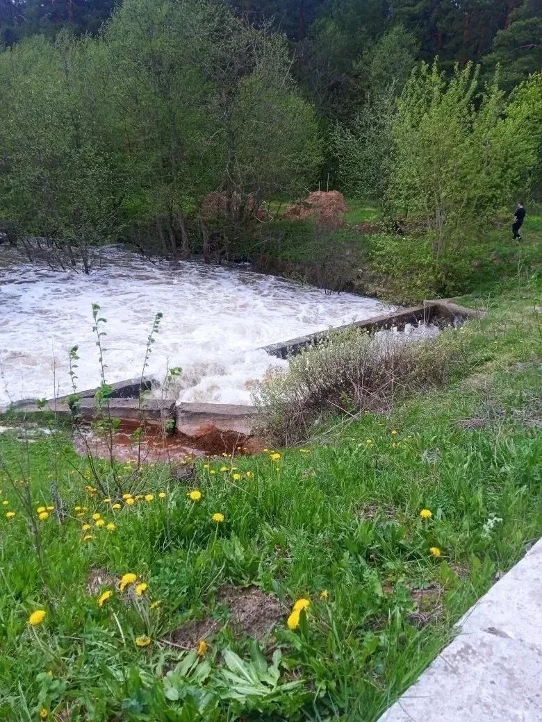 В Можге подтопило луга и приусадебные участки из-за прорыва плотины
