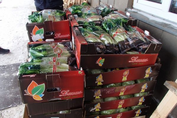 Почти 200 кг санкционного салата из Польши обнаружили в Ижевске