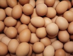 Невероятно, но факт — яйца вновь подорожали в Удмуртии