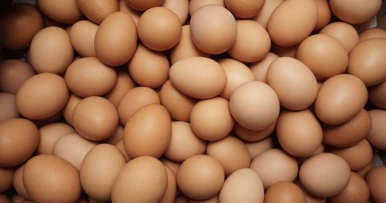 Невероятно, но факт — яйца вновь подорожали в Удмуртии