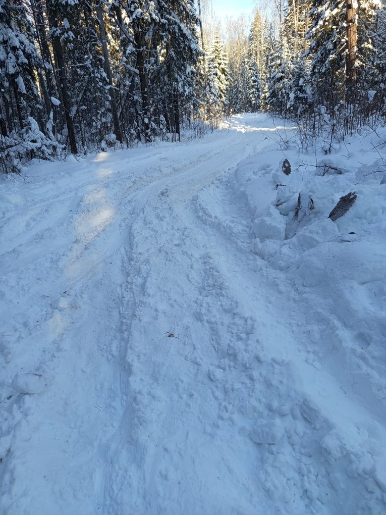 Неизвестный раскурочил лыжную трассу в Березовском лесу в Воткинске