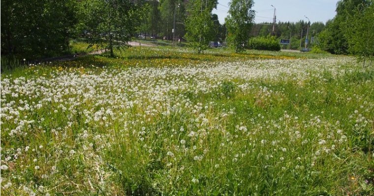 Итоги дня: поиск подрядчика на покос травы в Ижевске и последнее слово экс-министра строительства Удмуртии Ястреба