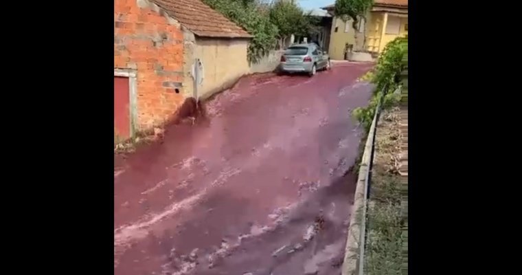 Красным вином затопило улицы португальского города Анадии из-за аварии