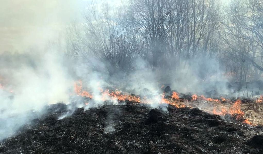 Пожар в несколько гектаров произошёл в городской черте Глазова