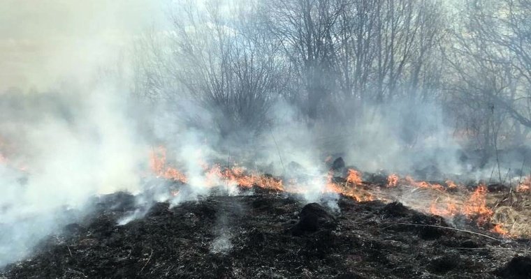 Пожар в несколько гектаров произошёл в городской черте Глазова