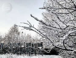 Небольшой снег ожидается в Удмуртии 25 ноября