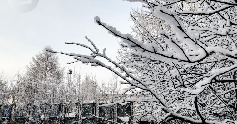 Небольшой снег ожидается в Удмуртии 25 ноября