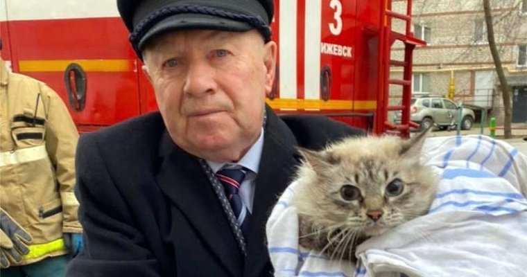 Двух котов спасли в Ижевске при пожаре
